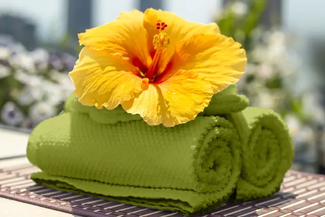 トーンカーブでコントラストを調整した状態