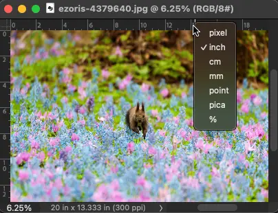 印刷したときのサイズを扱う際の単位を変更する