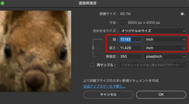 印刷したときのサイズを「画像解像度」で確認した例（単位インチ）