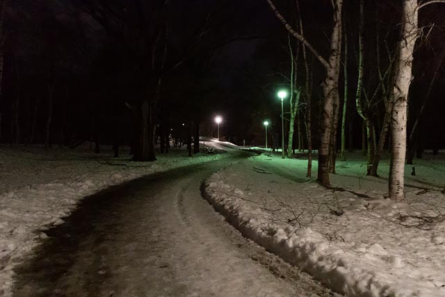 真駒内公園の道 入り口付近(2026年12月)