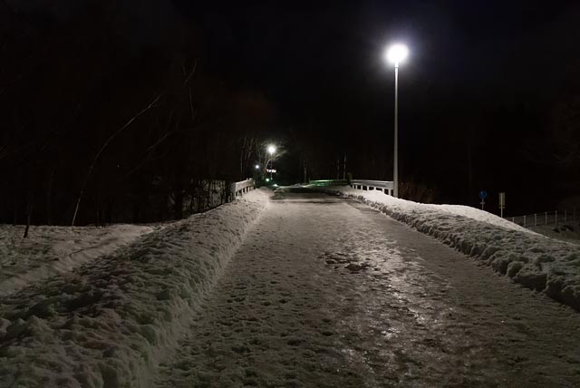 真駒内公園の道(2026年12月)