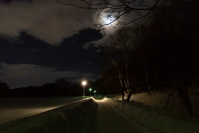真駒内公園の道(2026年2月)