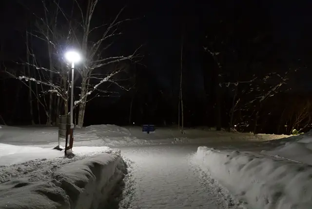 メインの道には照明がある