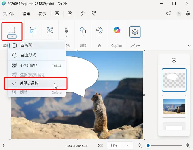 「透明の選択」にチェックマークが表示されている状態