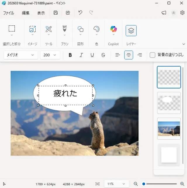 文字を入力してフォントやサイズや位置を調整
